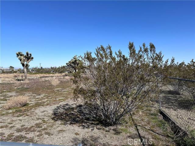 Pinon Hills, CA 92372,2808 Del Rosa