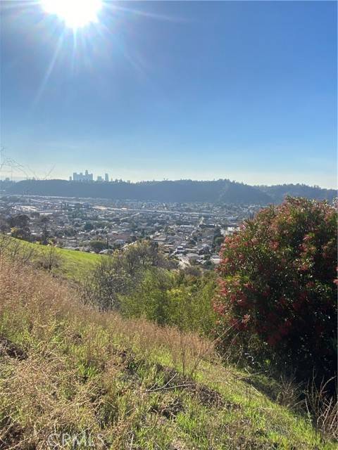 Mount Washington, CA 90065,280 Grand View