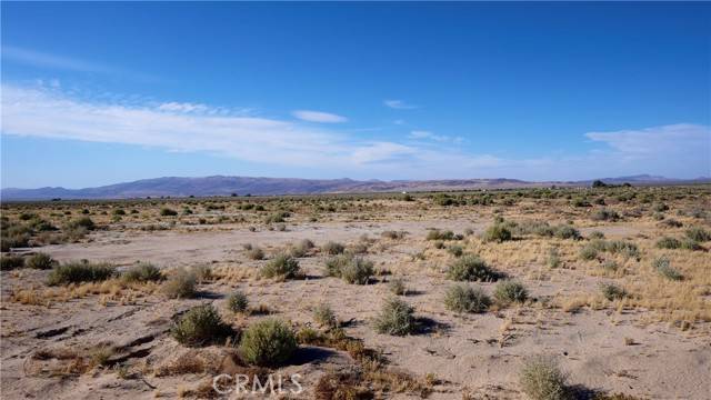 Hinkley, CA 92347,0 Friends