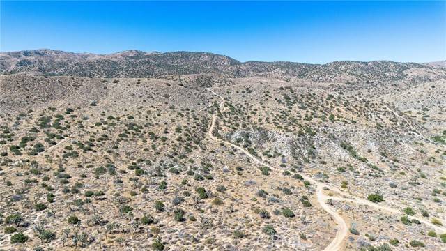 Palmdale, CA 93550,79 Mt Emma