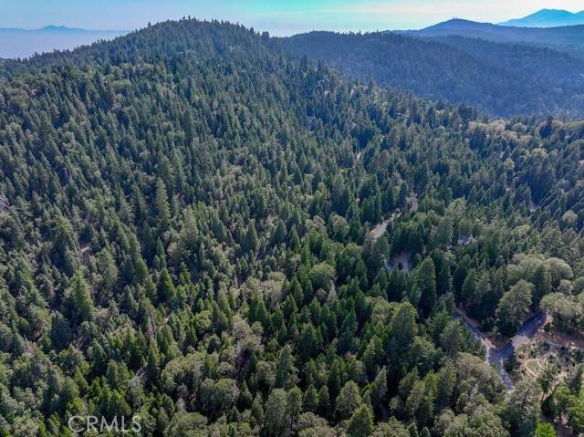 Lake Arrowhead, CA 92352,29215 Pigeon Hawk