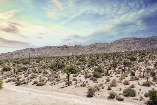 Joshua Tree, CA 92252,8935 La Contenta