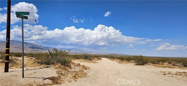 Johnson Valley, CA 92285,48355 Datura