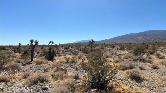 Lucerne Valley, CA 92356,0 Bauer Rd