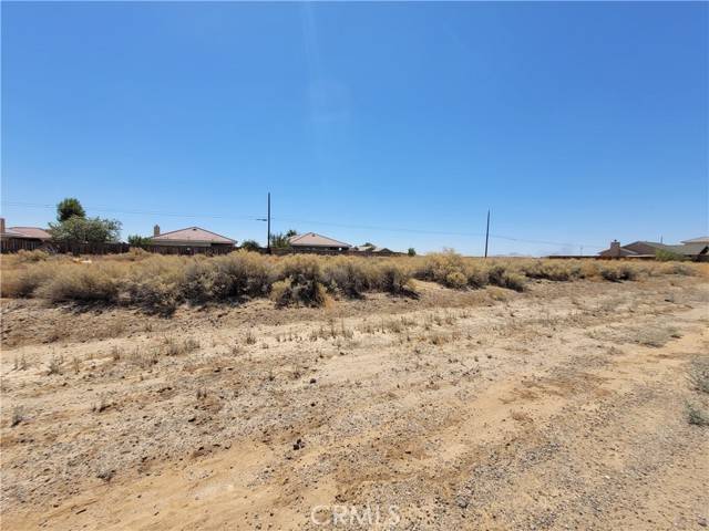 California City, CA 93505,0 Forest