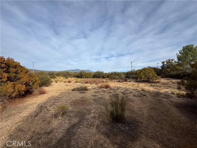 Anza, CA 92539,59255 Breiner Valley Rd