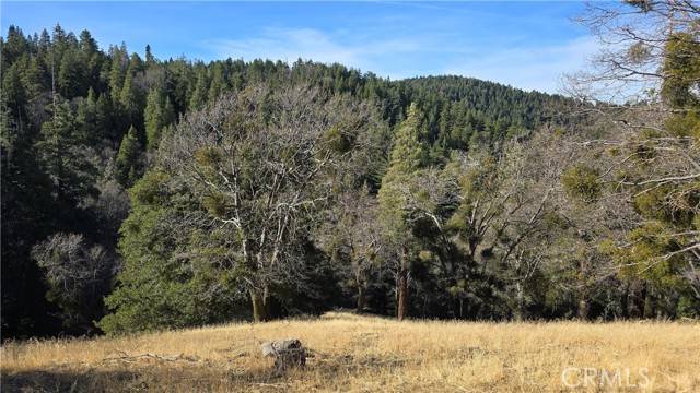 Cedarpines Park, CA 92322,0 Cross