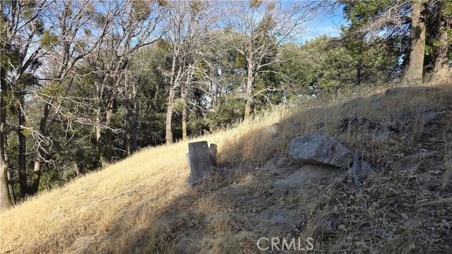 Cedarpines Park, CA 92322,0 Cross