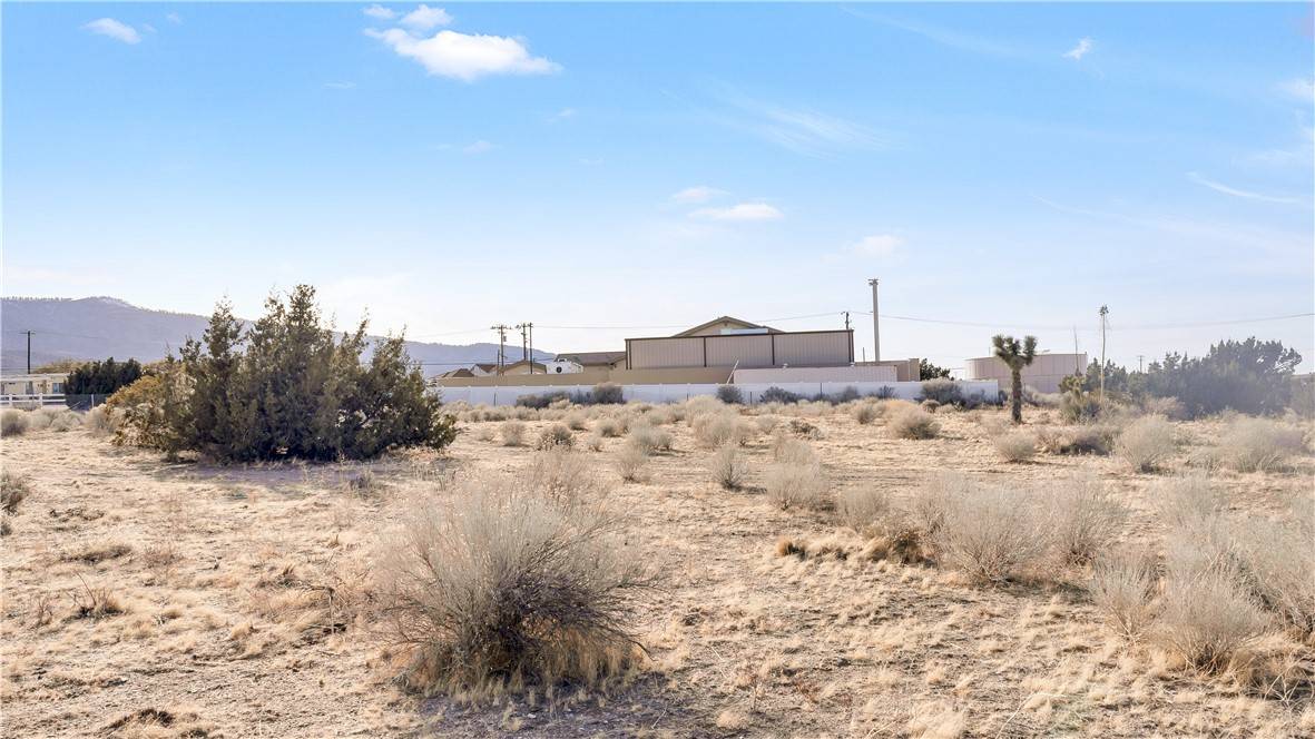 Phelan, CA 92371,9610 Mescalero