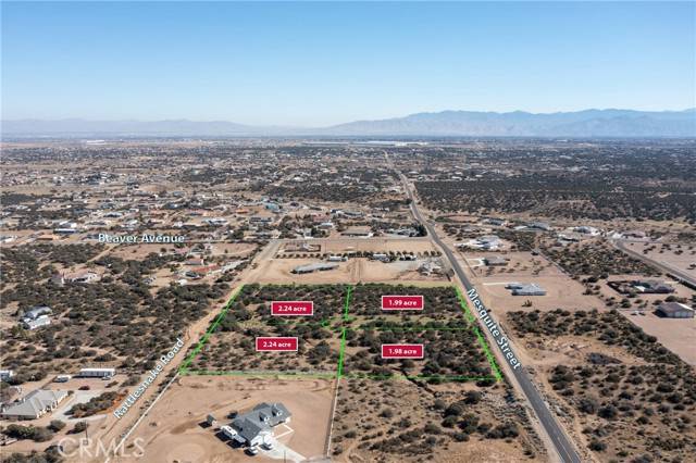 Phelan, CA 92371,0 Mesquite