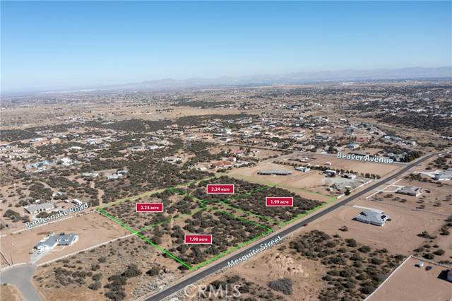 Phelan, CA 92371,0 Mesquite