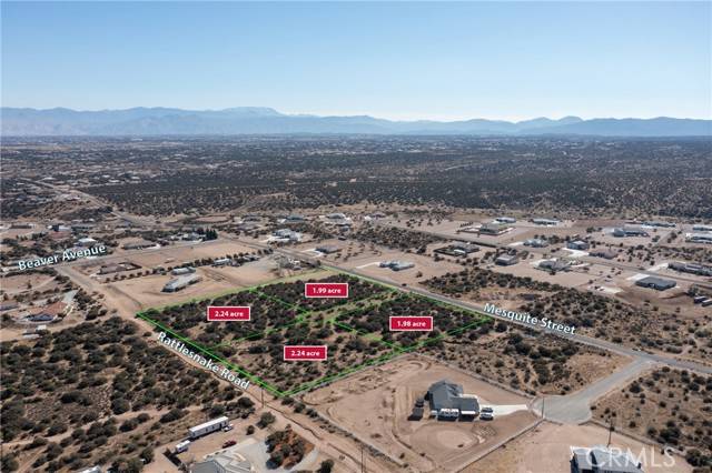 Phelan, CA 92371,0 Mesquite