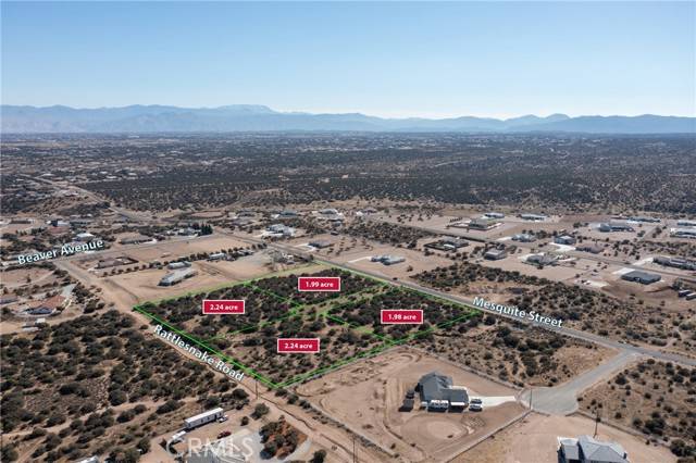 Phelan, CA 92371,0 Mesquite