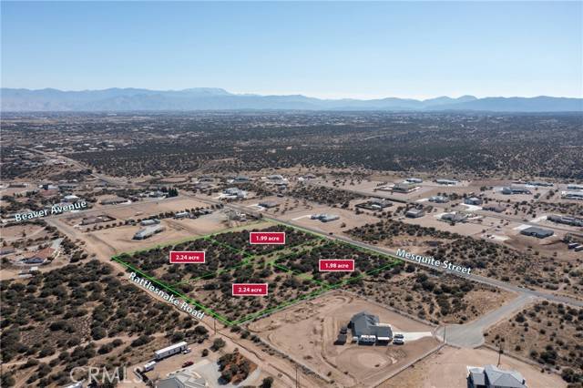Phelan, CA 92371,0 Mesquite