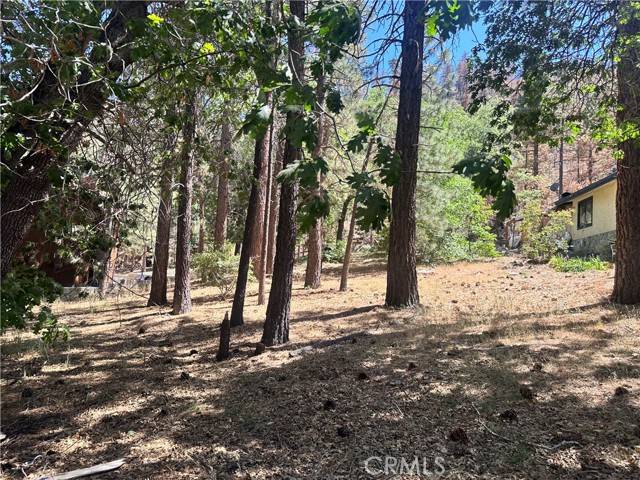 Wrightwood, CA 93544,0 Vac/Cardinal
