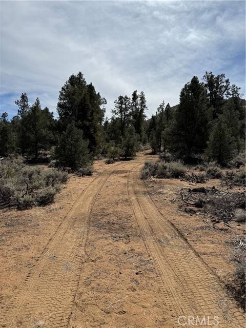 Kennedy Meadows, CA 93527,0 310-030-036