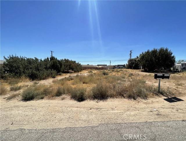 Hesperia, CA 92345,0 Juniper