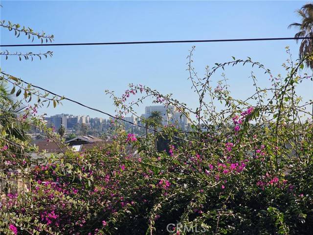 Lincoln Heights, CA 90031,3095 GEORGE Street