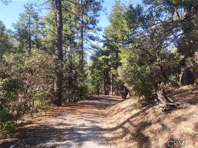 Idyllwild, CA 92549,52547 Pine Cove