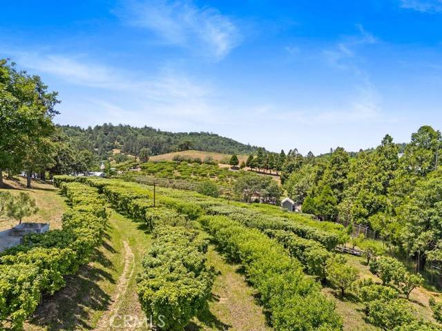 Julian, CA 92036,2645 Apple Lane