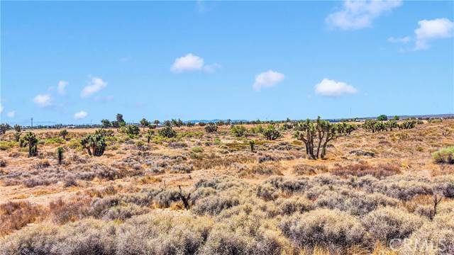 Phelan, CA 92371,0 Beaver