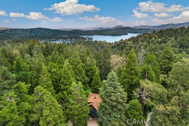 Lake Arrowhead, CA 92352,717 Crest Estates Drive