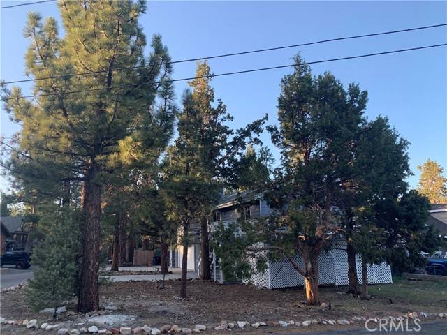 Big Bear, CA 92314,350 Brewer Way