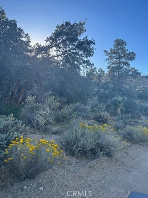 Pinon Hills, CA 92372,0 Deer Haven