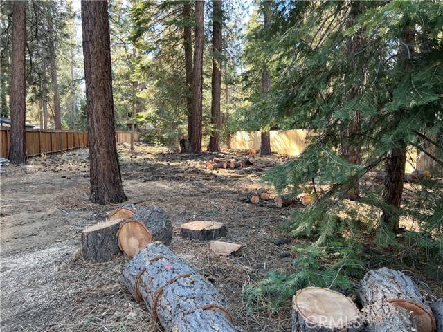 South Lake Tahoe, CA 96150,1124 Tata