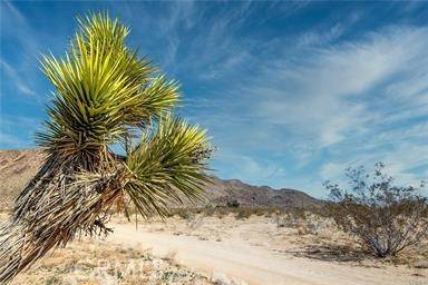 Landers, CA 92285,2046 Osgood