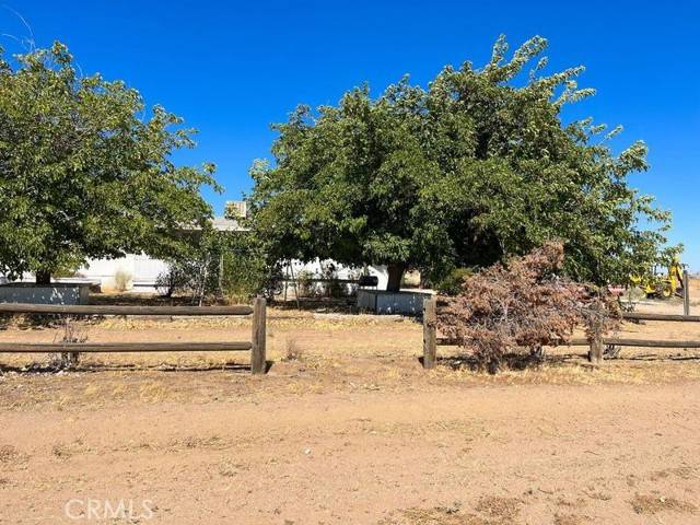 Phelan, CA 92371,10164 White Road