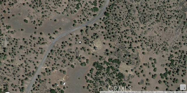 Hornbrook, CA 96044,0 Whitepine