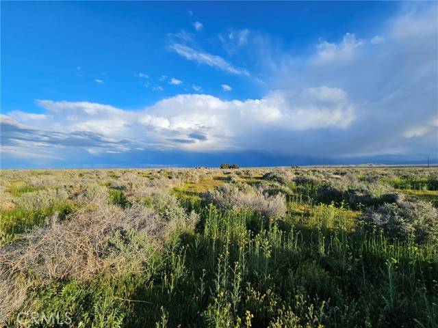 Rosamond, CA 93560,359 35931505005