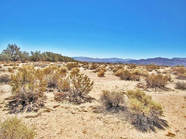 Newberry Springs, CA 92365,34348 Lakeview