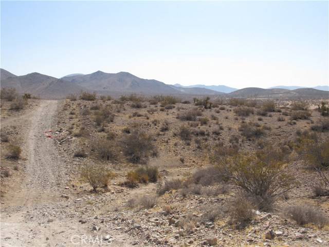 Apple Valley, CA 92307,0 Leaping Lizard