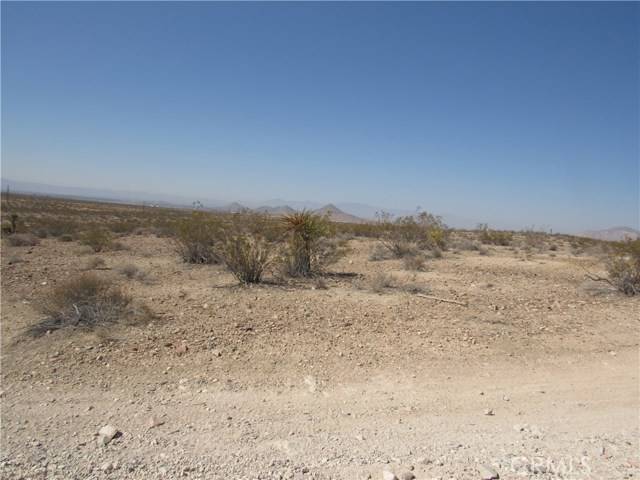 Apple Valley, CA 92307,0 Leaping Lizard