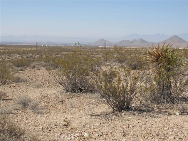 Apple Valley, CA 92307,0 Leaping Lizard