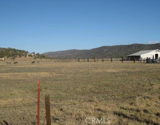 Big Bear, CA 92314,2151 Erwin Ranch