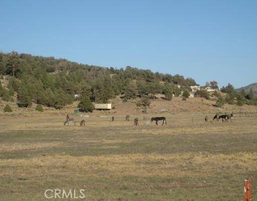 Big Bear, CA 92314,2151 Erwin Ranch