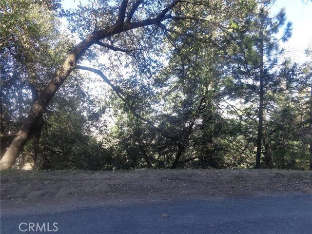 Crestline, CA 92325,72 Chillon