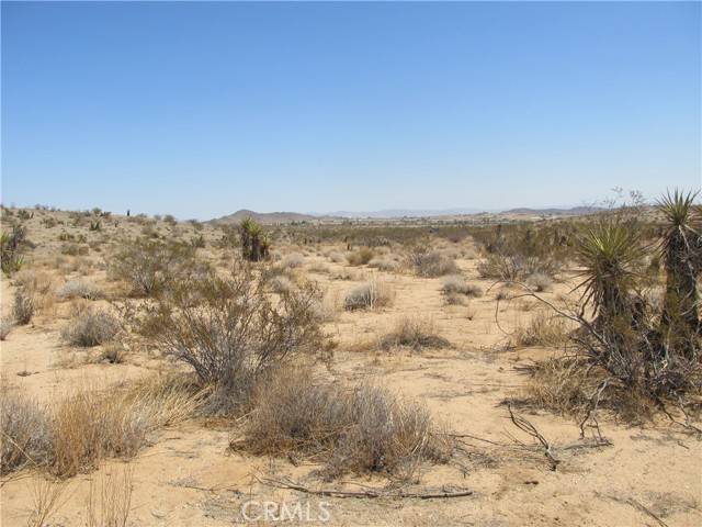 Joshua Tree, CA 92252,0 CIELITO