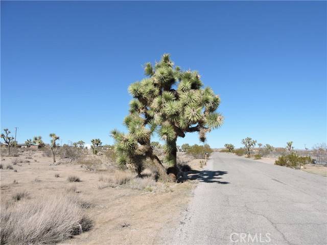 Yucca Valley, CA 92284,4420 Anita