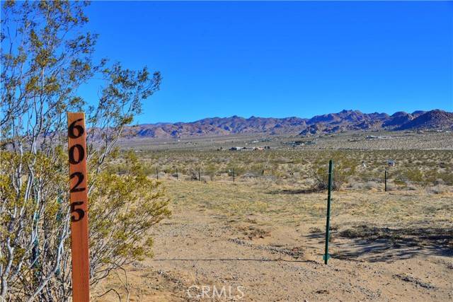 Joshua Tree, CA 92252,6025 Center