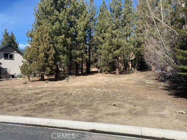 Big Bear Lake, CA 92315,0 Meadow