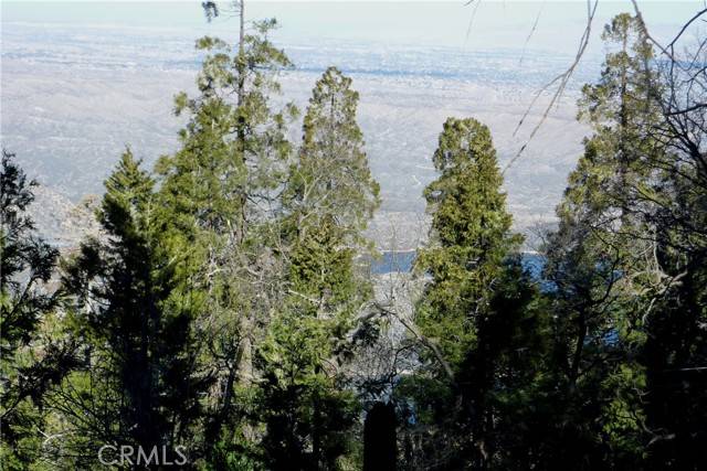 Cedarpines Park, CA 92322,0 Peak Circle