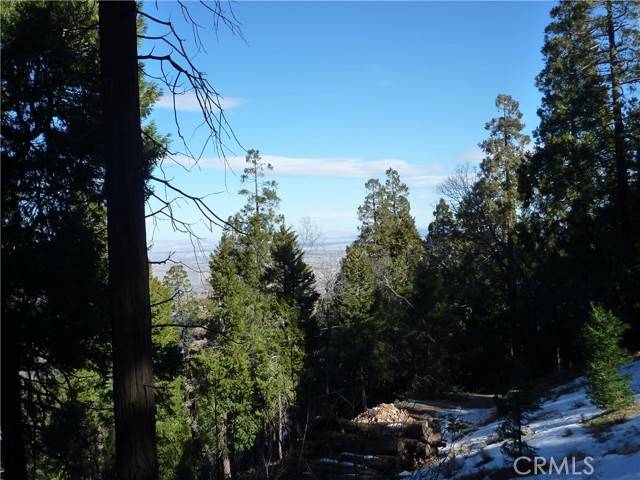 Cedarpines Park, CA 92322,0 Peak Circle