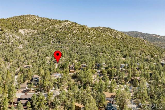 Big Bear City, CA 92314,1105 Crater Mountain