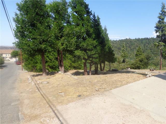 Cedarpines Park, CA 92322,739 Mozumdar