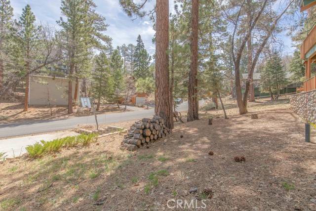 Big Bear City, CA 92314,1609 Columbine Drive