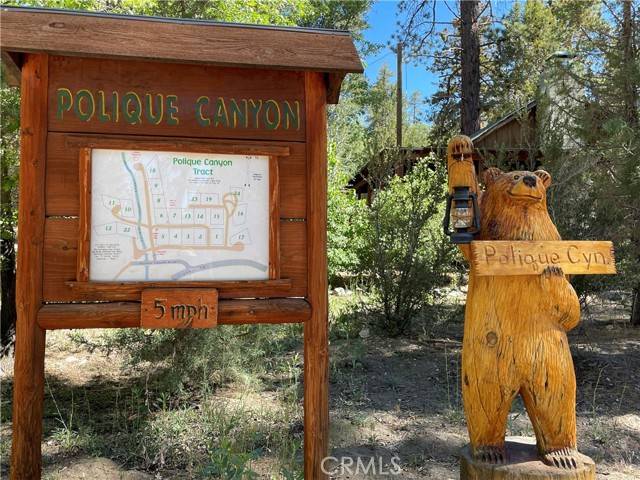 Fawnskin, CA 92333,16 Polique Canyon